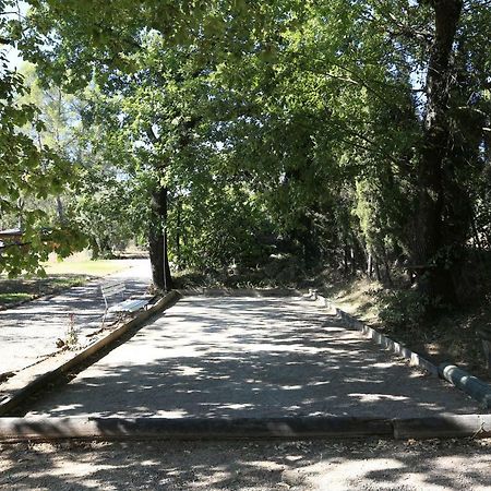 Saint-Paul-en-Forêt Le Mas Du Vieux Chene מראה חיצוני תמונה