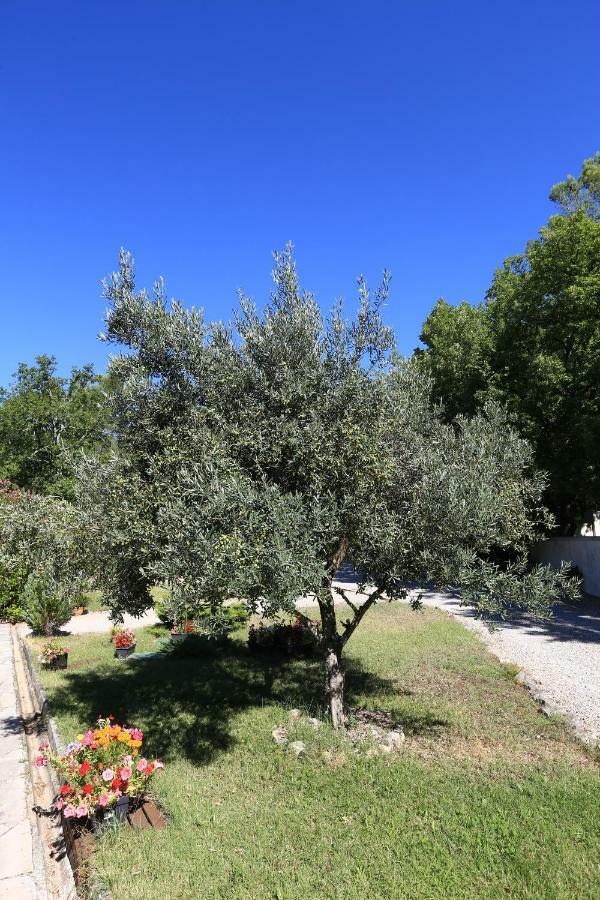 Saint-Paul-en-Forêt Le Mas Du Vieux Chene מראה חיצוני תמונה